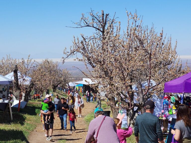 “Celebrate Fall in the Mountains at the 2024 Apple Festival”